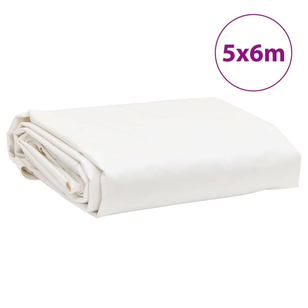 Bache Dario Vert 5 X 6 - P87211V - Image 8