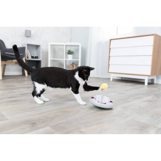 jeux junior Snack & Play dimensions: ø 18 cm pour chat - Image 8