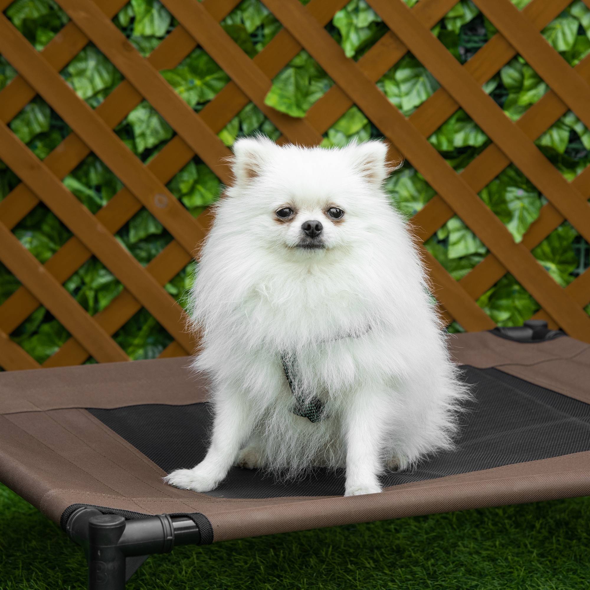 Lit surélevé chien chat métal tissu oxford aéré usage intérieur extérieur 76cm marron - ComfortXL Outdoor Living - Image 10