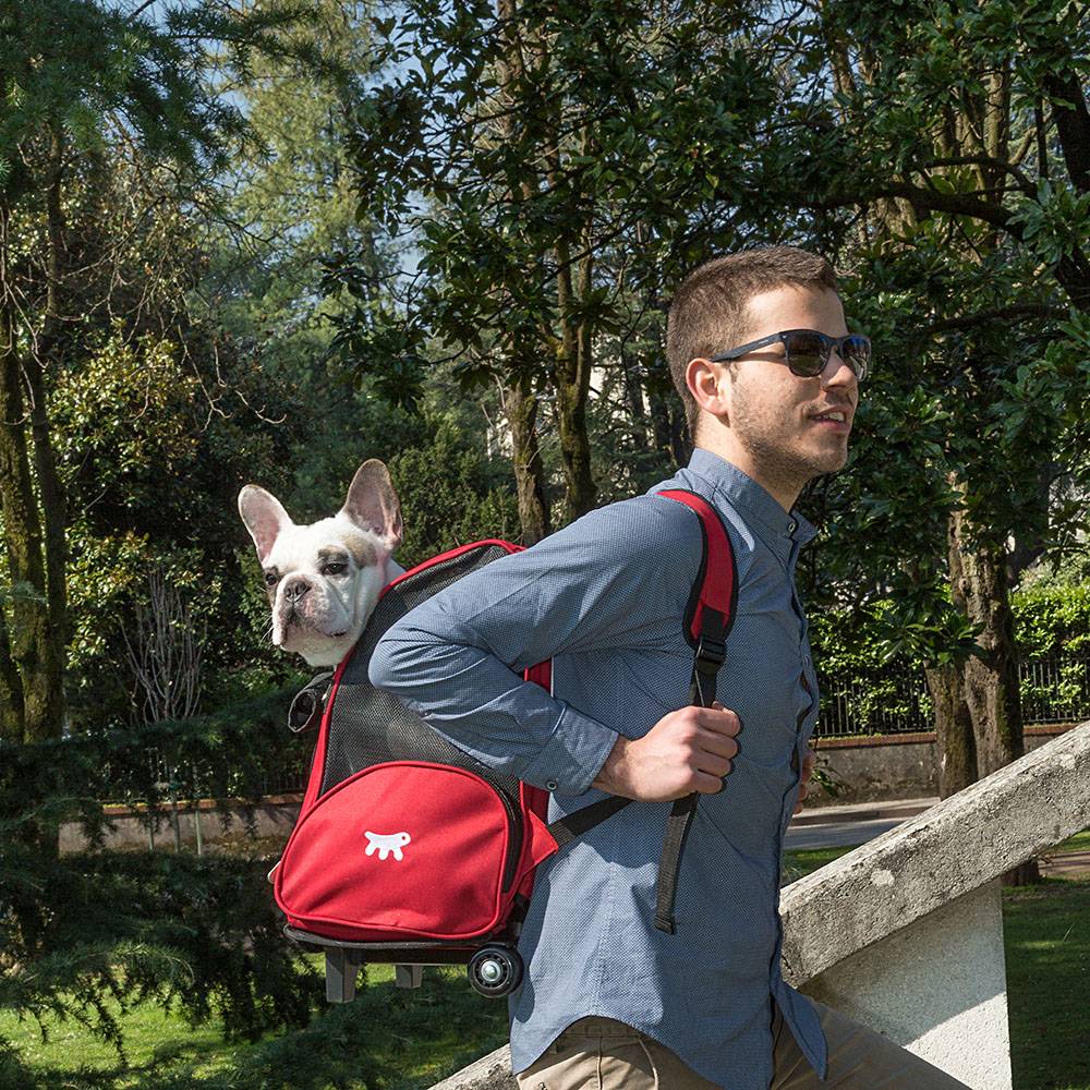 Ferplast - Panier de Transport Petits Chiens Chats TROLLEY à Roulettes, Sac à Dos pour Petits Chiens Chats, Poignée Télescopique, Poches pour Accessoires, Rouge - Imagen 4