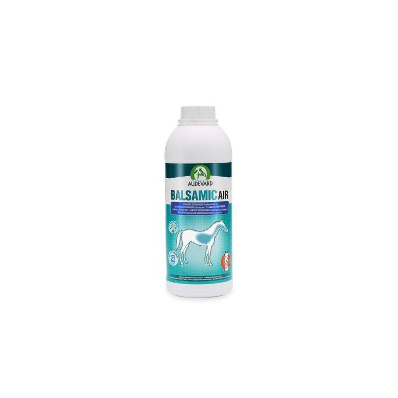 BALSAMIC AIR - AUDEVARD 500