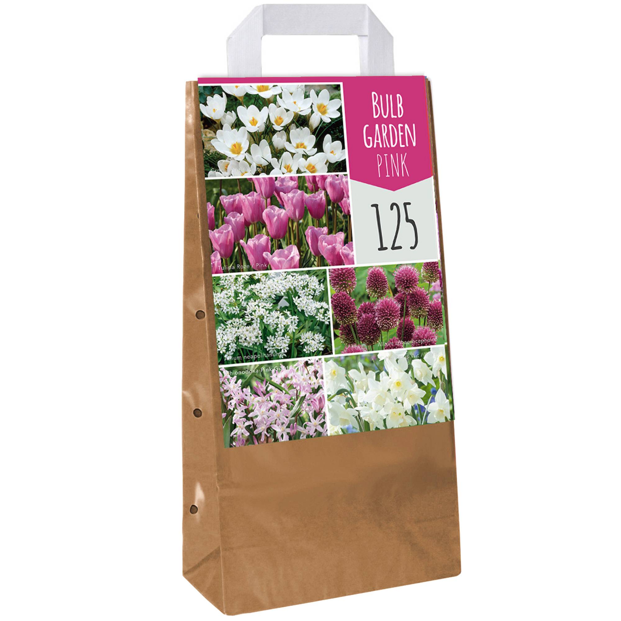 Gardenersdream - Jardin de bulbes Tulipe rose Allium Crocus Chionodoxa Allium Narcisse Bulbes à fleurs (125 bulbes) - Imagen 1