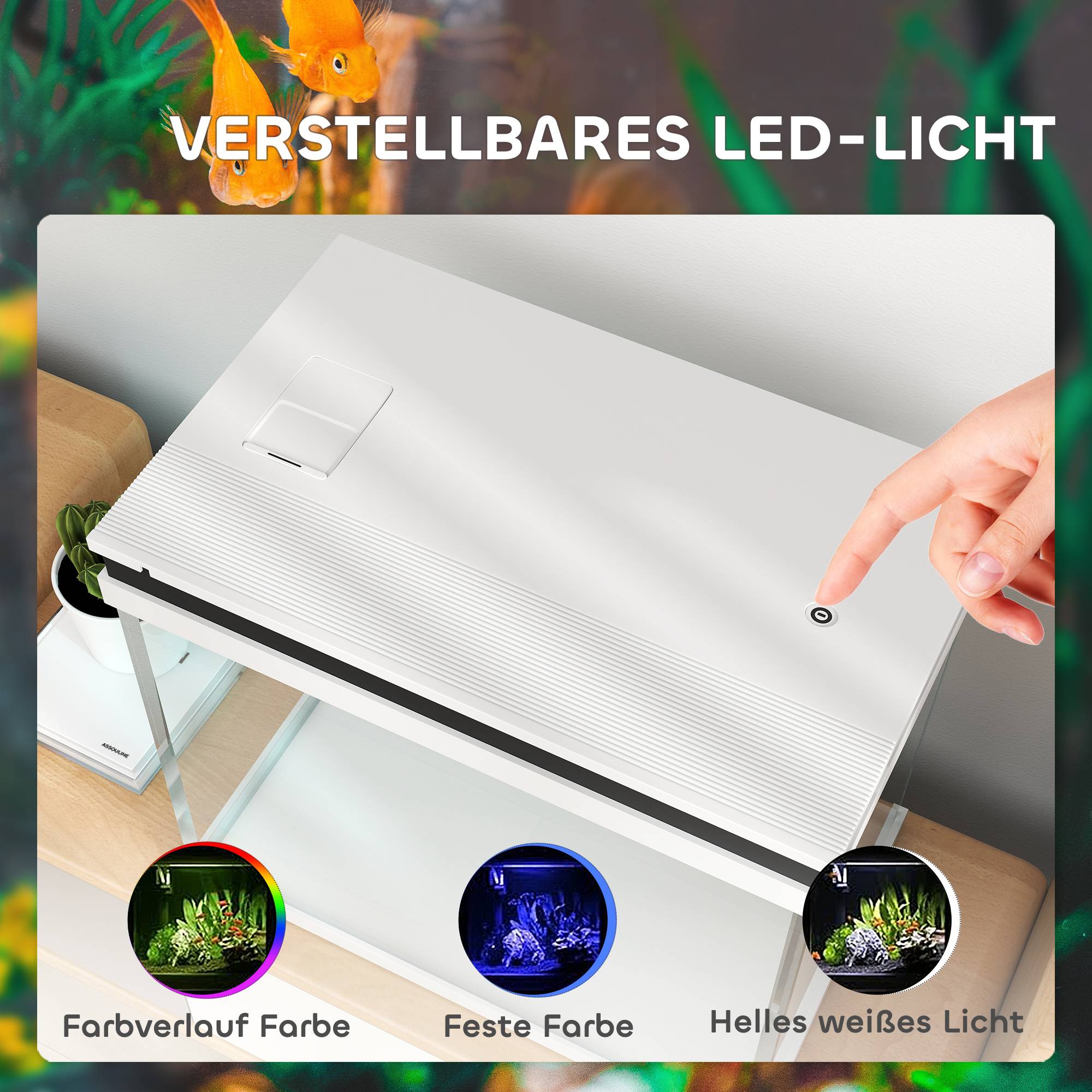 ComfortXL - Aquarium 41 L verre blanc 48 x 30 x 41 cm avec filtration pompe à eau et éclairage LED pour poissons - Image 6