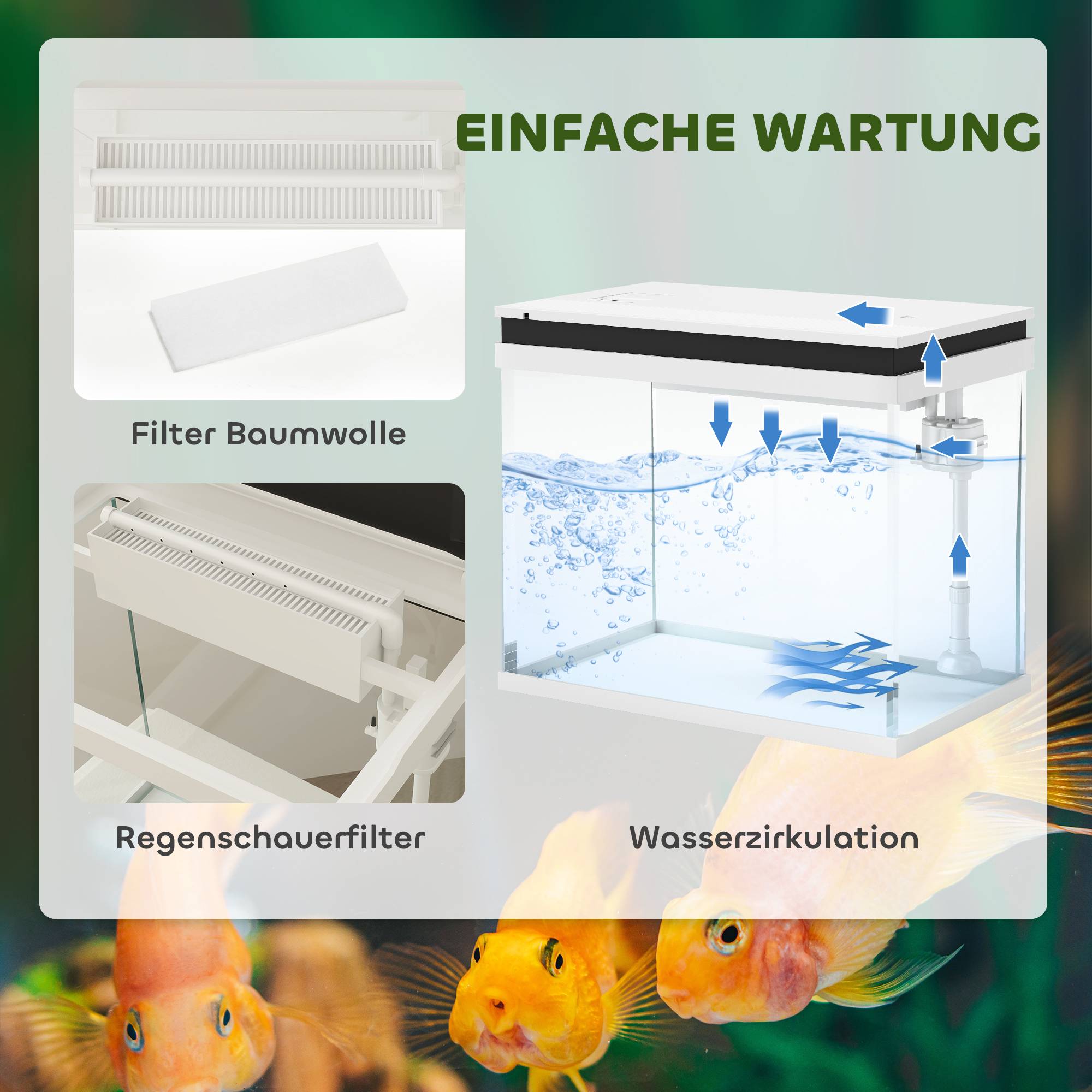 ComfortXL - Aquarium 41 L verre blanc 48 x 30 x 41 cm avec filtration pompe à eau et éclairage LED pour poissons - Image 4