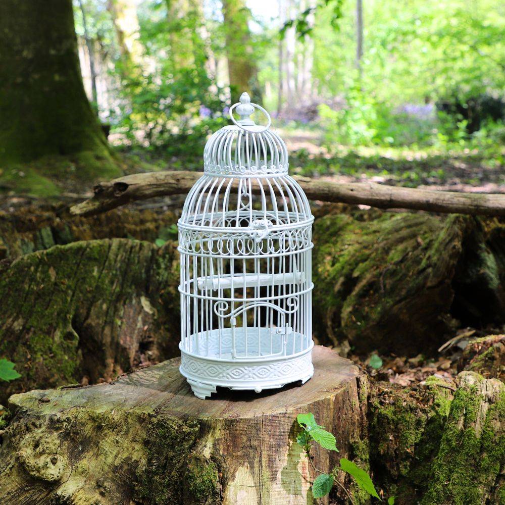 Cage à oiseaux bougeoir en métal blanc ø21 x 48 cm Chemin de campagne - Imagen 3