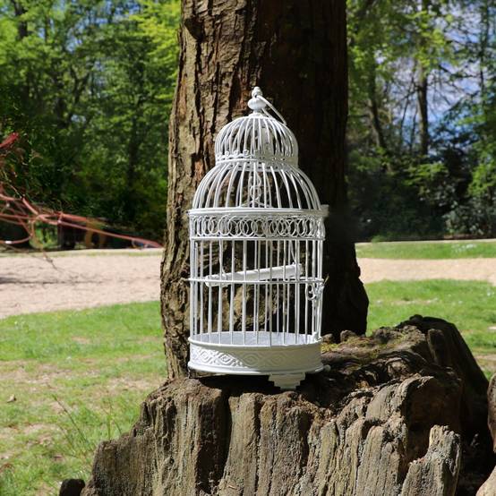 Cage à oiseaux bougeoir en métal blanc ø21 x 48 cm Chemin de campagne - Imagen 2