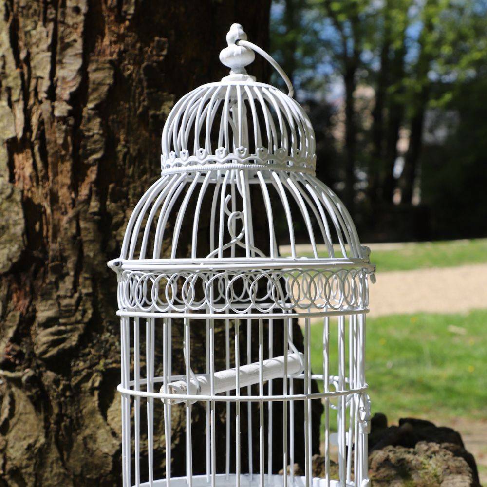 Décoration cage oiseau suspendu - Décoration