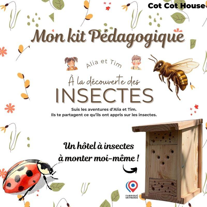 Kit pédagogique - insectes - Cot Cot House