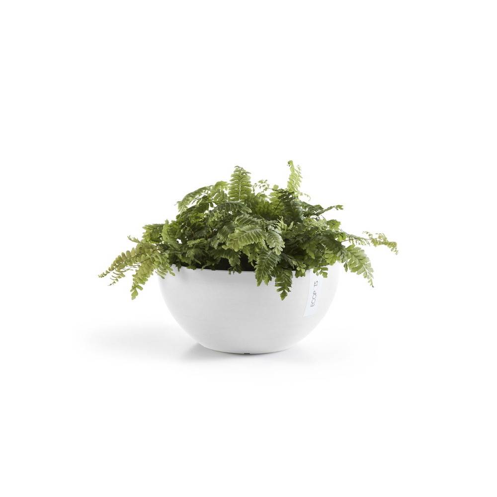 Ecopots - Pot Rond Brussels 25 Blanc Pur - Ø 25 x H. 12 cm - 3,6 L ECOPOTS - Imagen 2