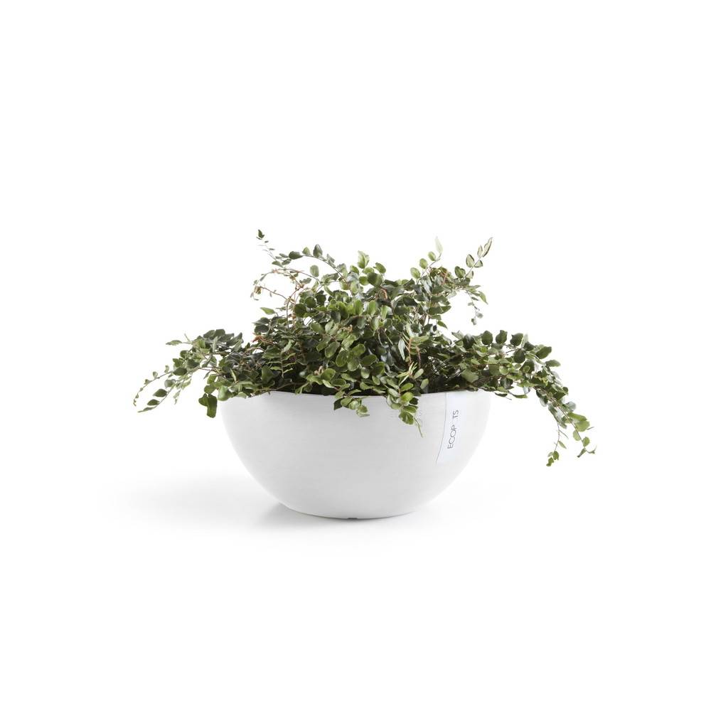 Ecopots - Pot Rond Brussels 25 Blanc Pur - Ø 25 x H. 12 cm - 3,6 L ECOPOTS - Imagen 1