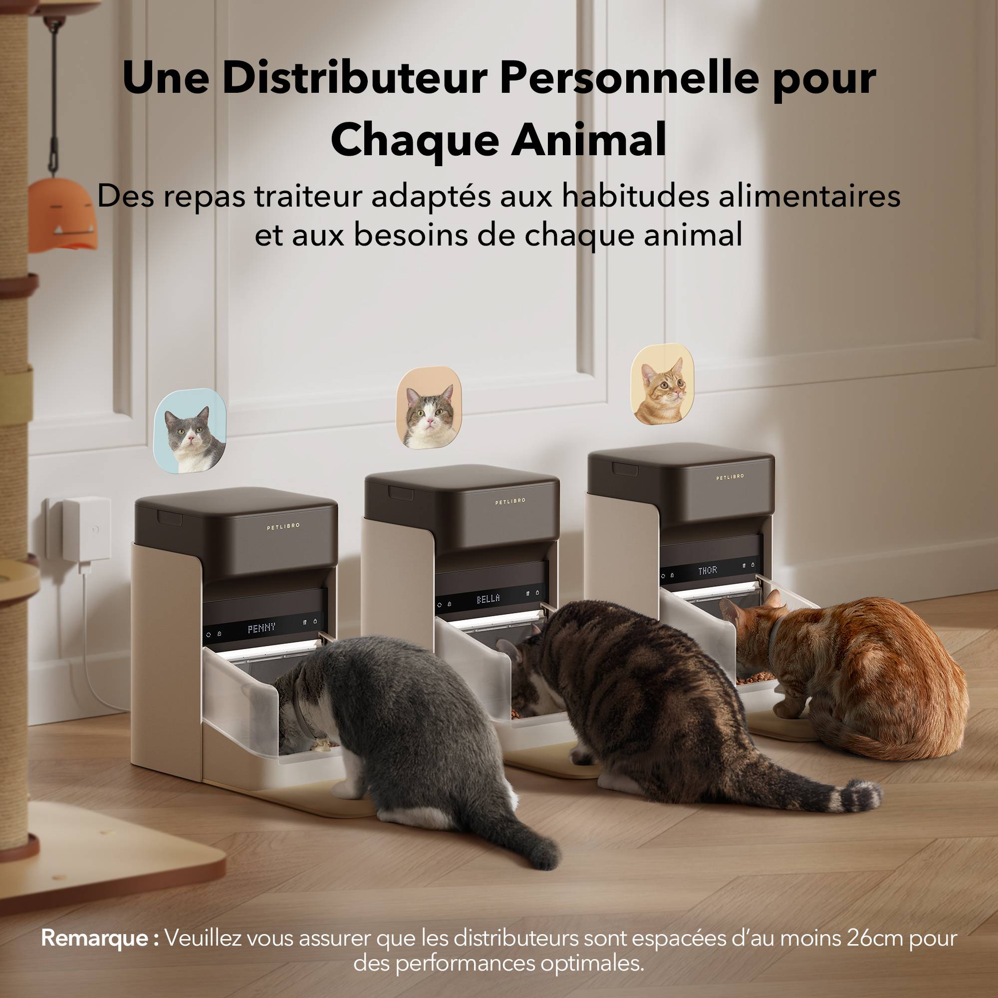 Petlibro - Distributeur automatique de croquettes RFID One pour chat et chien - Petlibro - Image 2