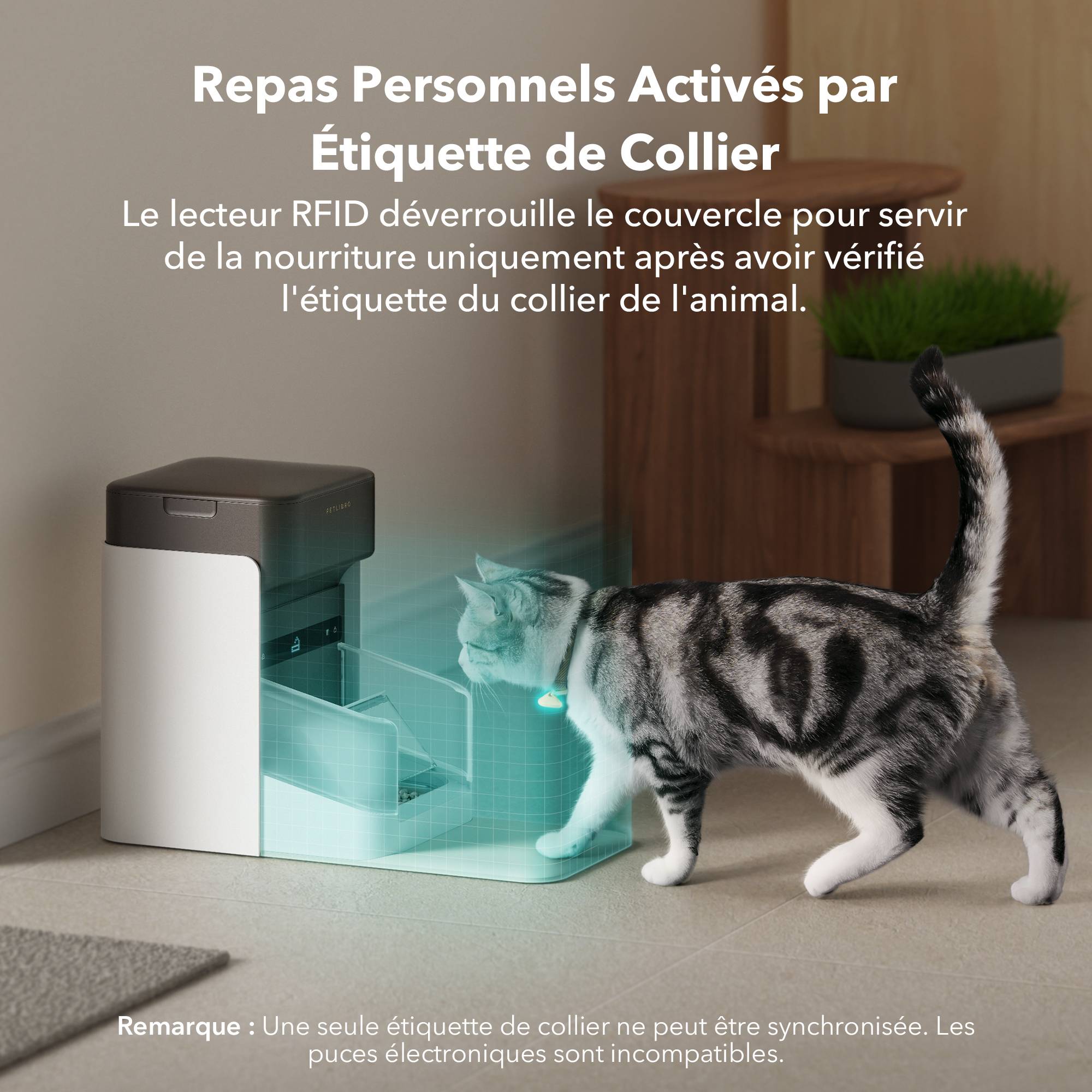 Petlibro - Distributeur automatique de croquettes RFID One pour chat et chien - Petlibro - Image 3