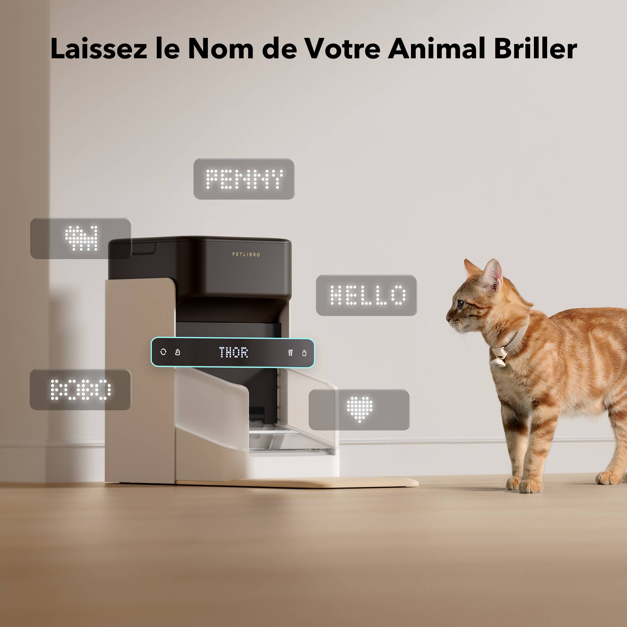 Petlibro - Distributeur automatique de croquettes RFID One pour chat et chien - Petlibro - Image 5