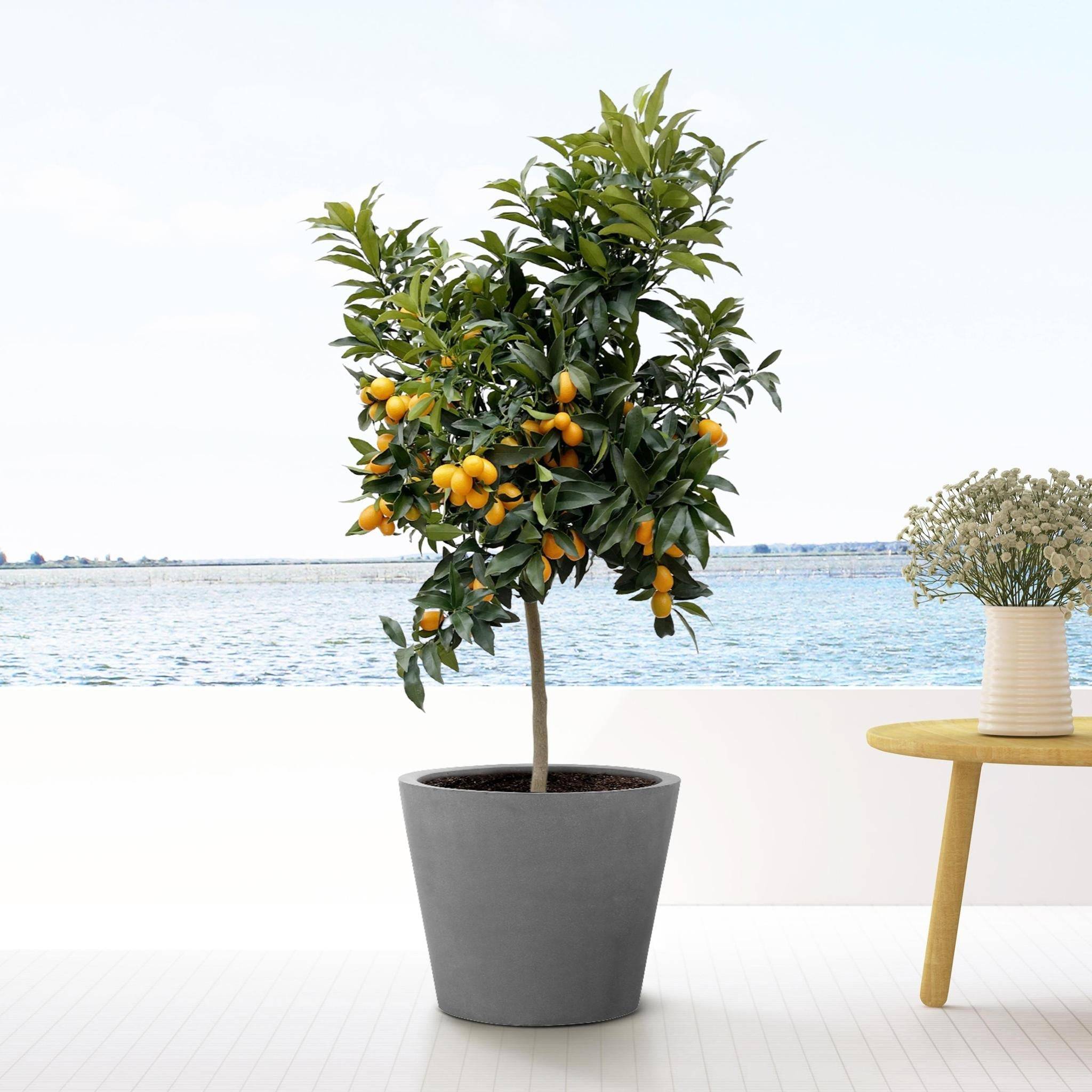Pot Bucket Gris 40cm- La Green Touch - Imagen 2