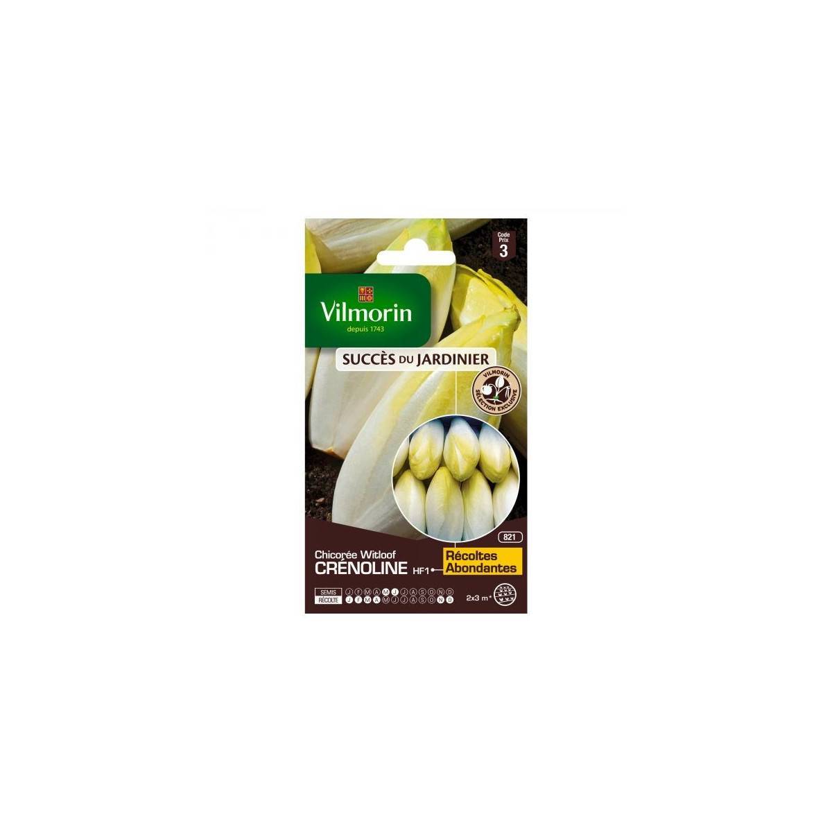 Vilmorin - Sachet graines Chicorée Witloof Crenoline HF1