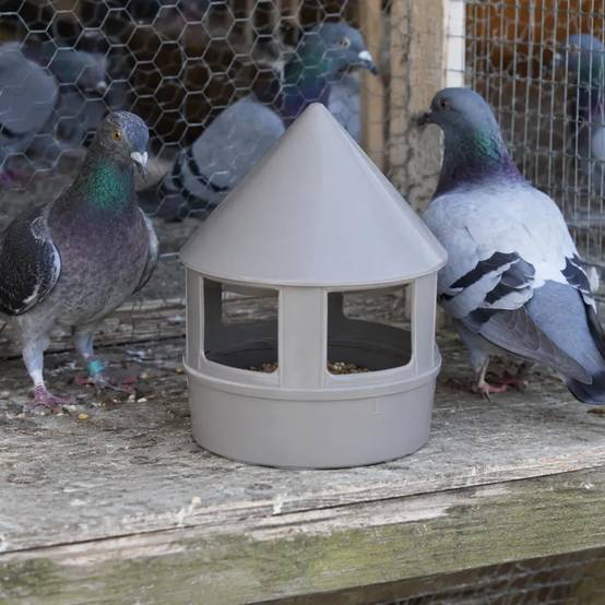 Autre - Mangeoire à grit 1,5 L pour pigeons – 3 compartiments - Image 3