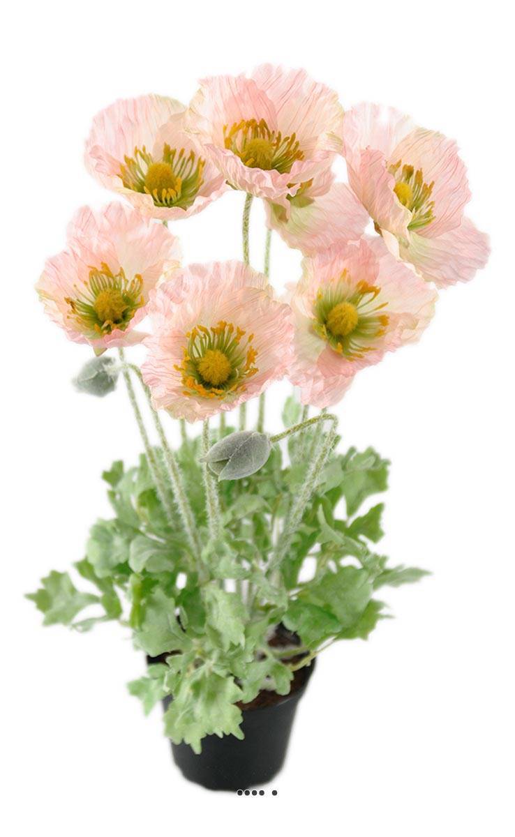 Artificielles - Pavot artificiel en pot H 45 cm D 30 cm qualité top Vert-rose - couleur: Vert-rose