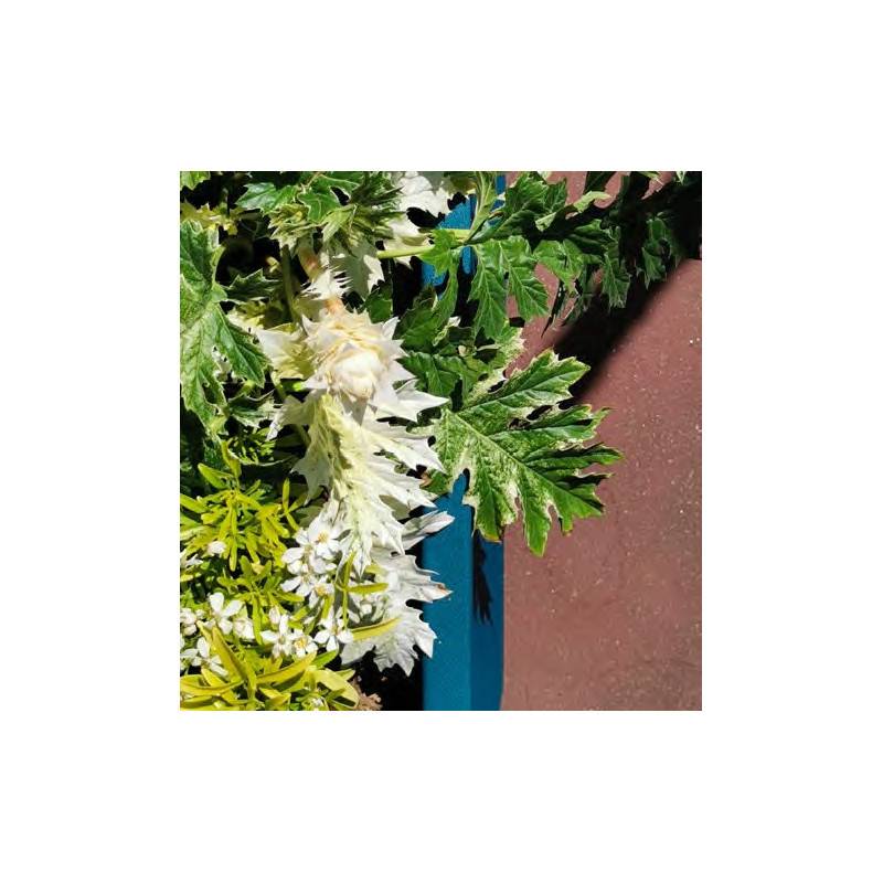 Riss - Bac A Fleurs Rectangulaire Riviera Granit - Plastique - 80x40 Cm - Bleu - Imagen 3