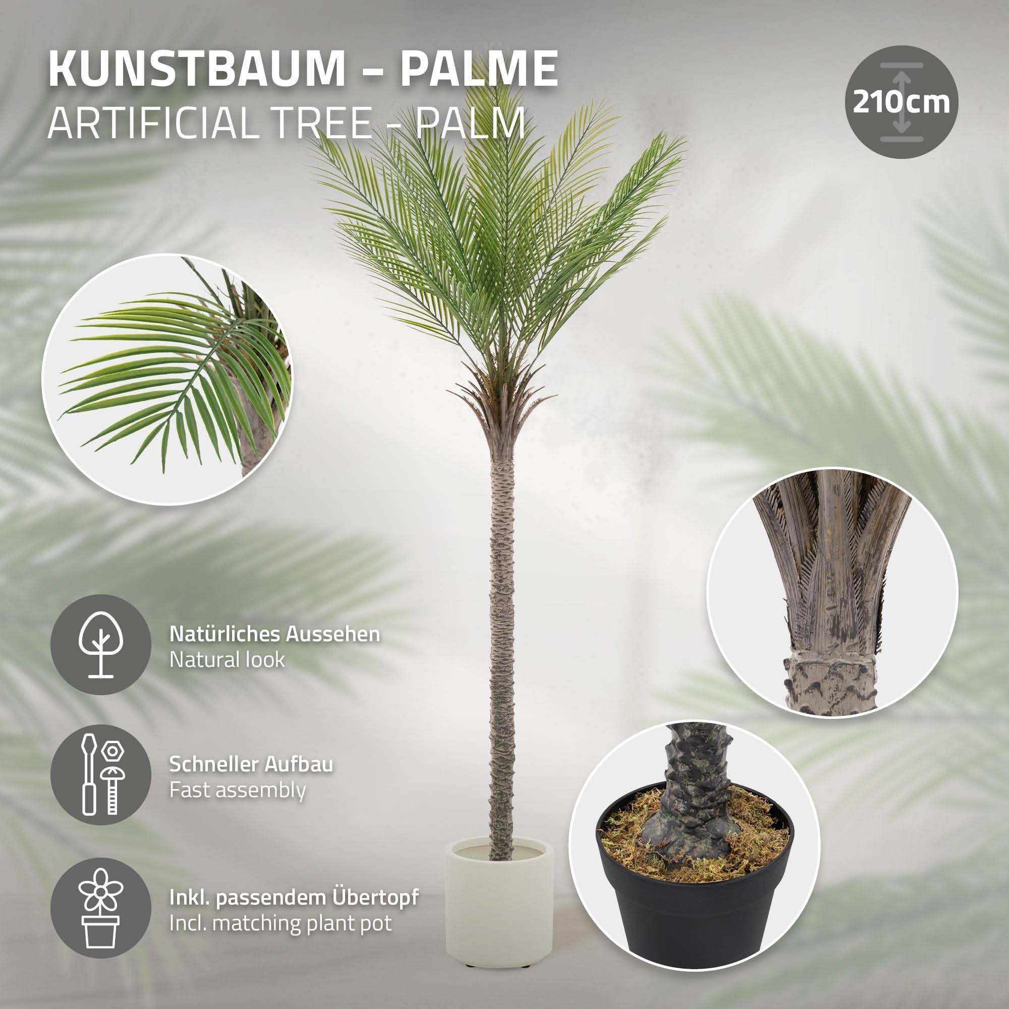 Sitemapcdatahttpdekokniqoocompalmier Interieur Jardiland