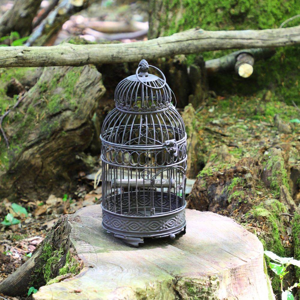 Cage à oiseaux décorative ancienne métal marron 16.5x40cm Chemin de campagne - Imagen 3