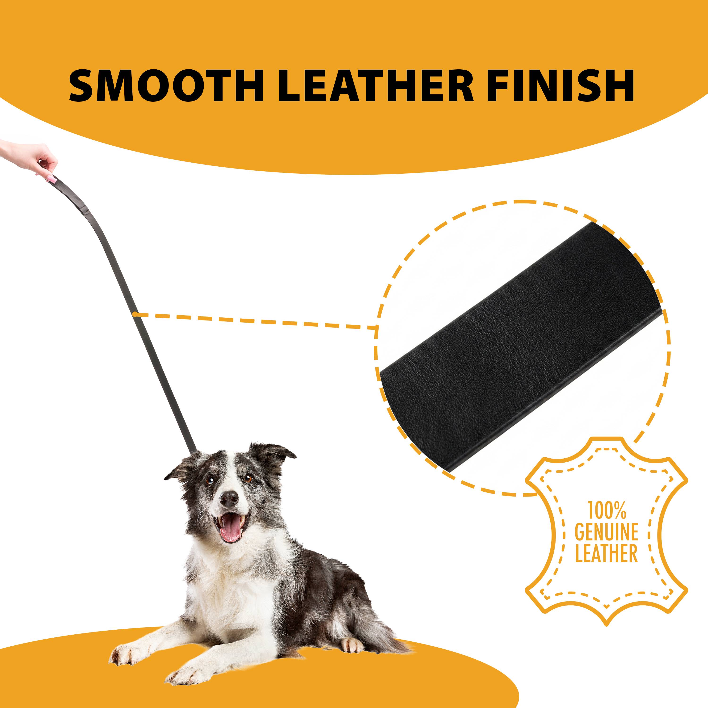 Ferplast - Laisse en cuir véritable chien chiens noir cuir naturel FERPLAST - Imagen 6