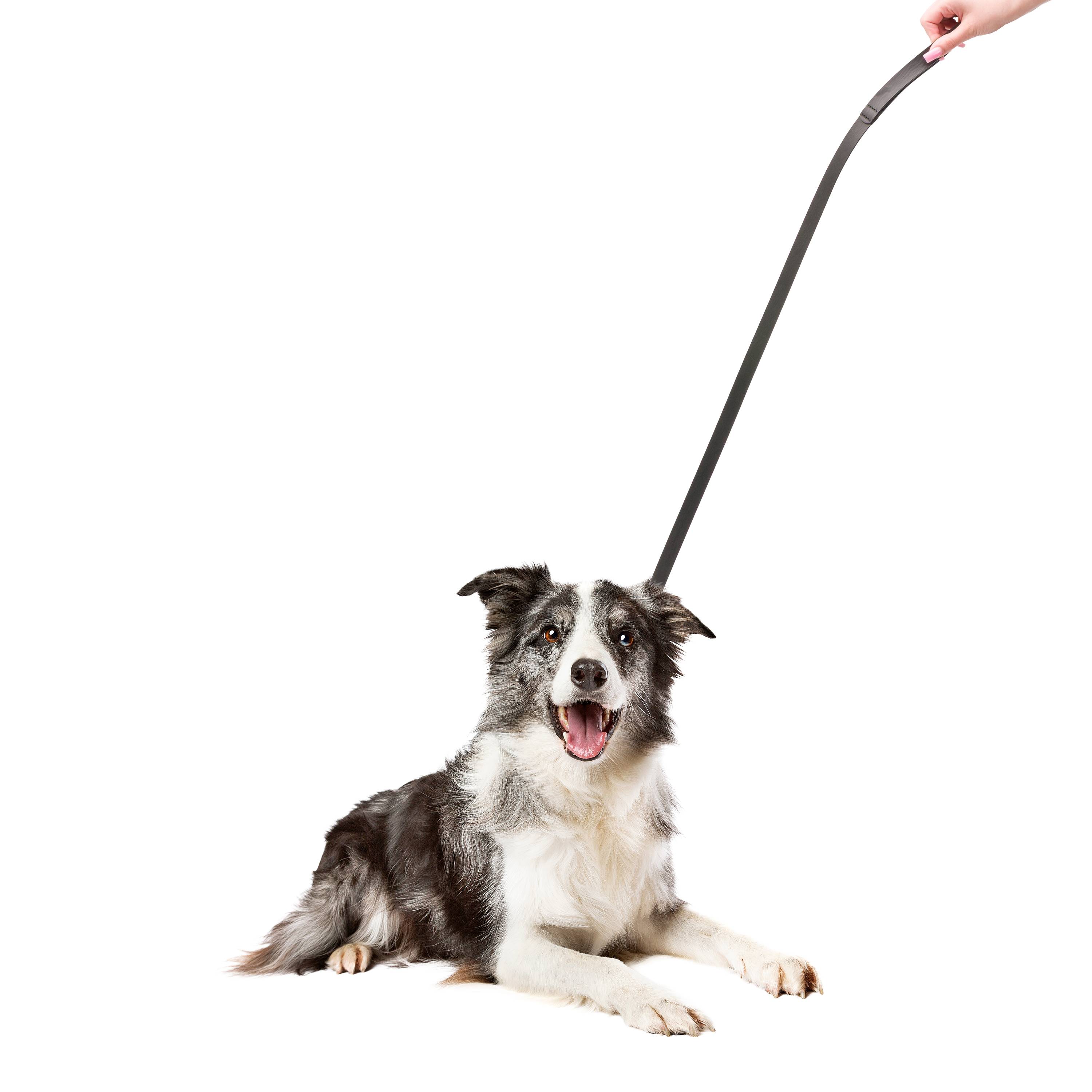 Ferplast - Laisse en cuir véritable chien chiens noir cuir naturel FERPLAST - Imagen 4
