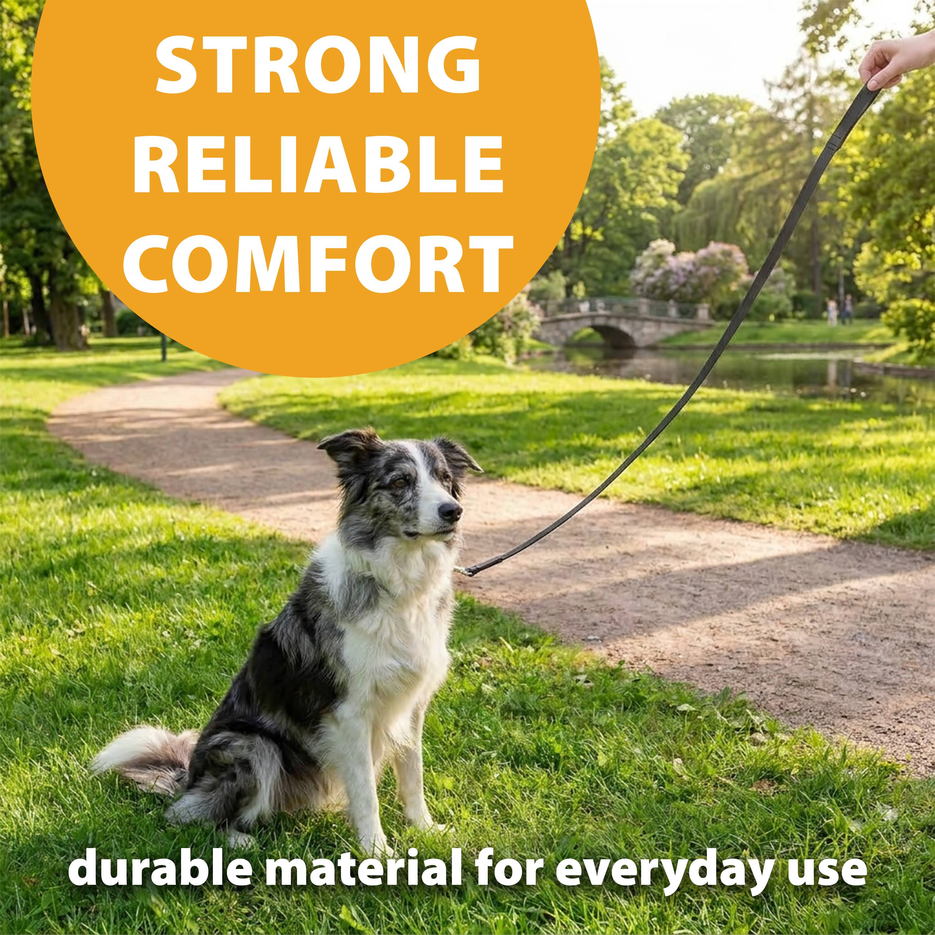 Ferplast - Laisse en cuir véritable chien chiens noir cuir naturel FERPLAST - Imagen 7