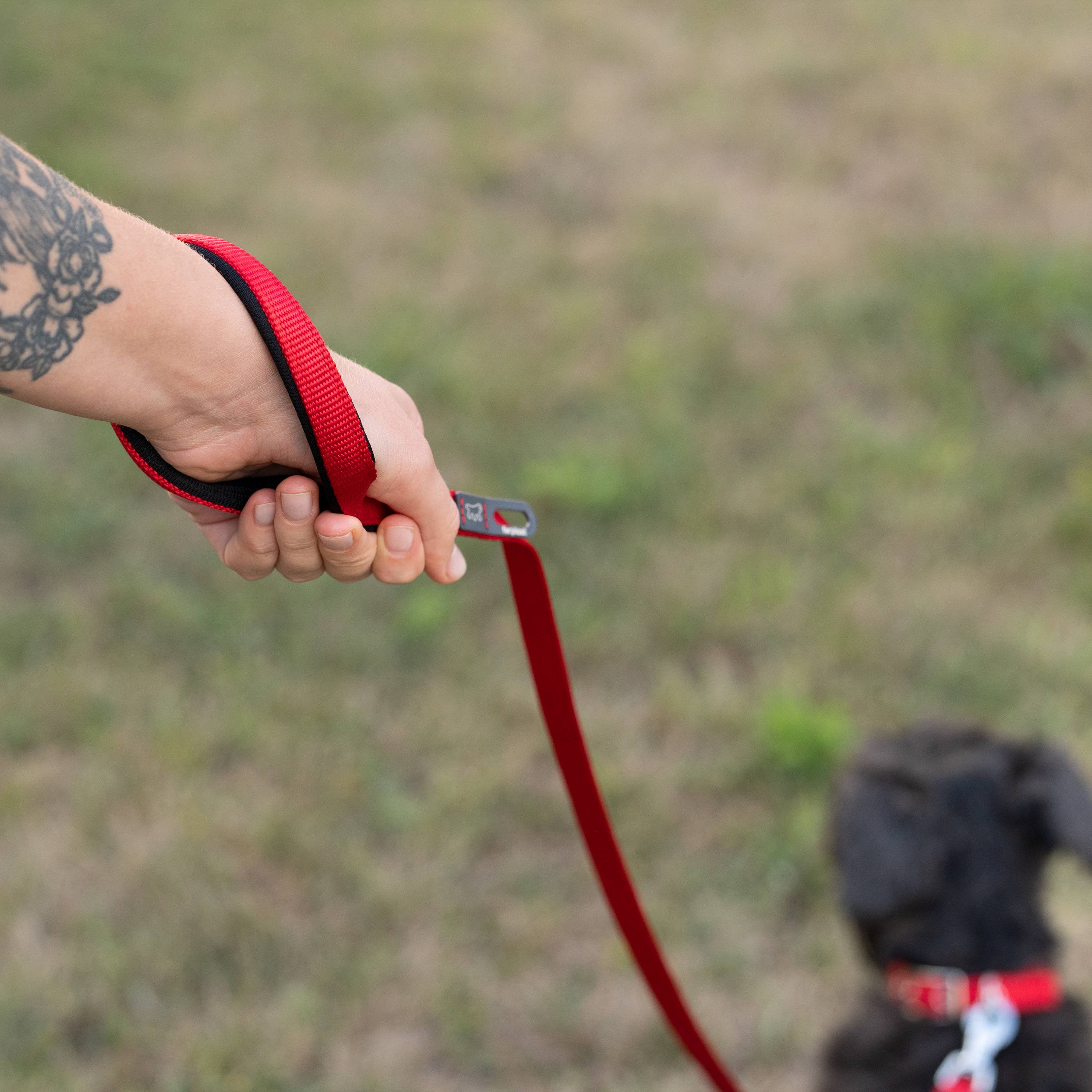 Ferplast - Ferplast laisse pour chien DAYTONA, Laisse en nylon pour petit chien, 120 cm, avec poignée rembourrée confortable et mousqueton en métal. Rouge - Imagen 3