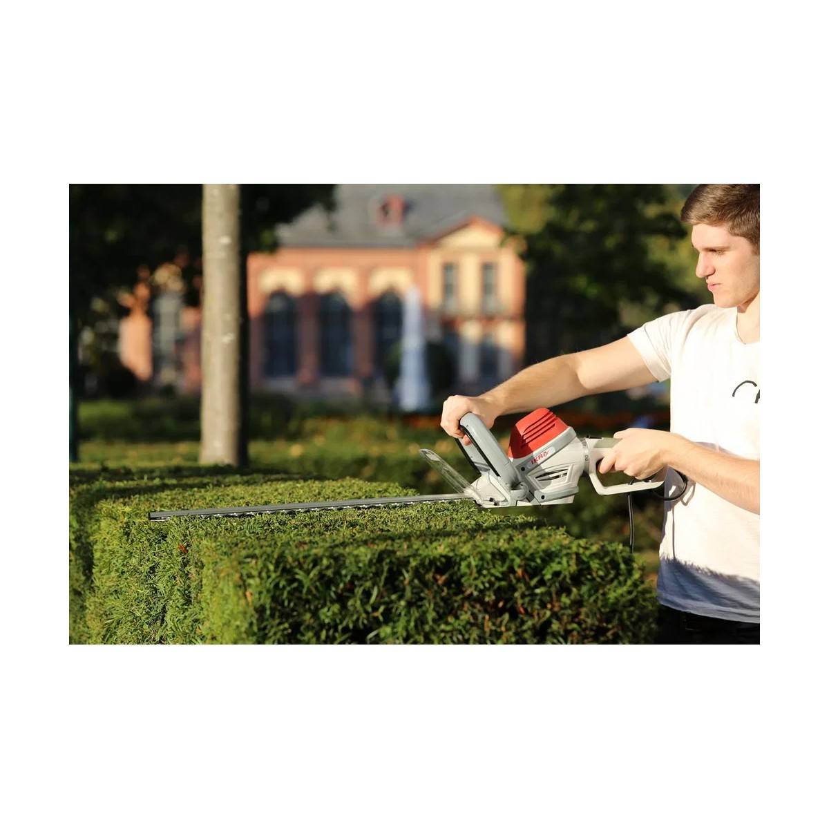 Taille-haie électrique 600W Double lame 55 cm Poignée ergonomique pivotante Frein électrique IKRA - Image 3