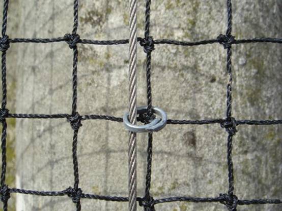 Filet anti-étourneaux - Maille de 28mm Noir 20m x 20m - Image 3