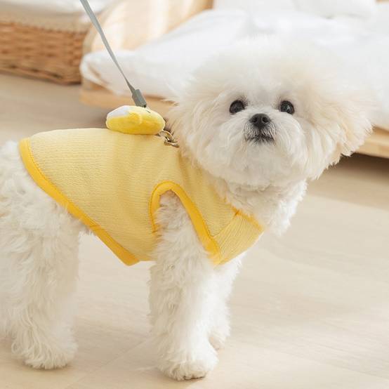 Gilet de traction pour chien et chat DtopbuyAge - Image 4