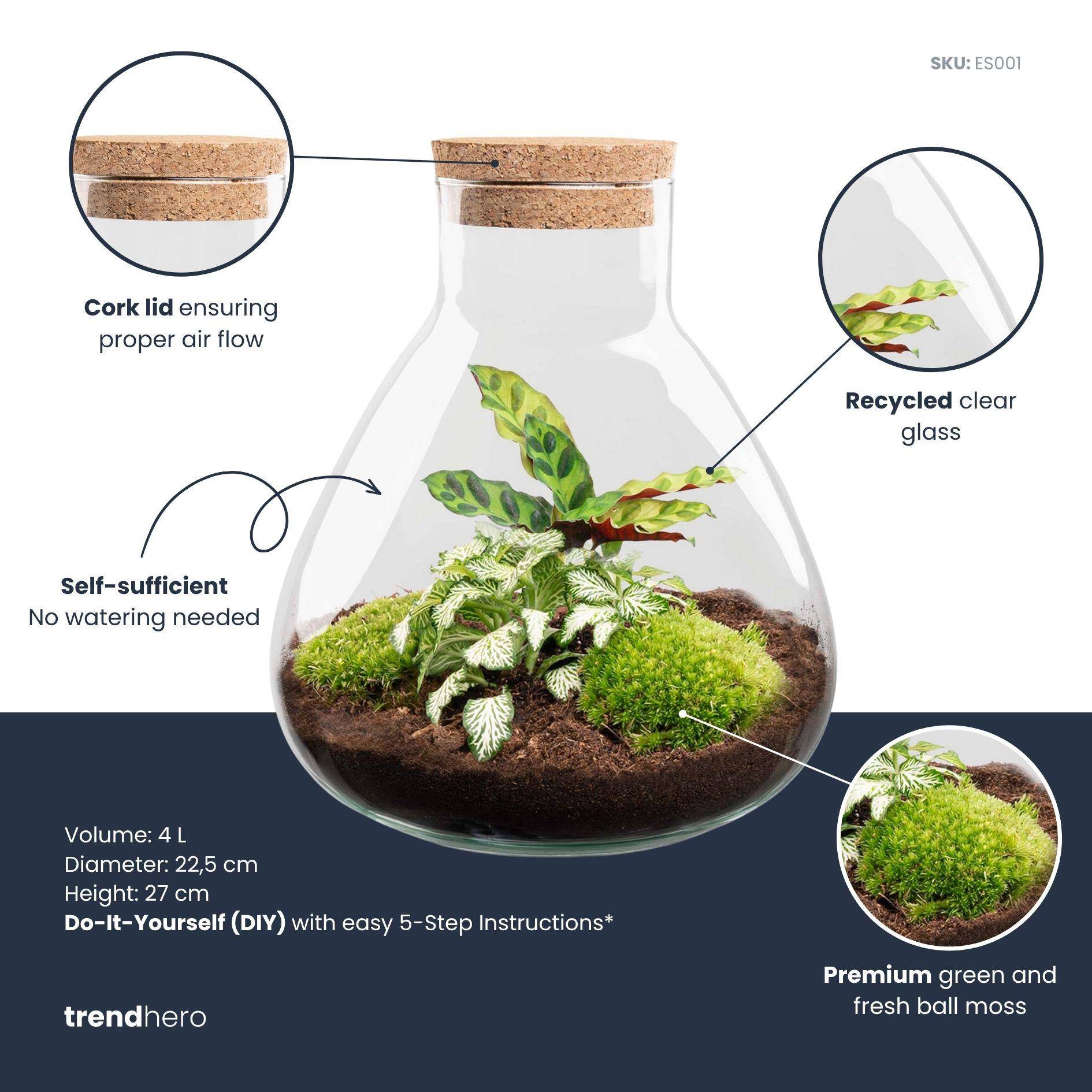 Terrarium à composer bouteille en verre recyclé - H26cm - avec râteau et pelle - Terrarium DIY - Image 2