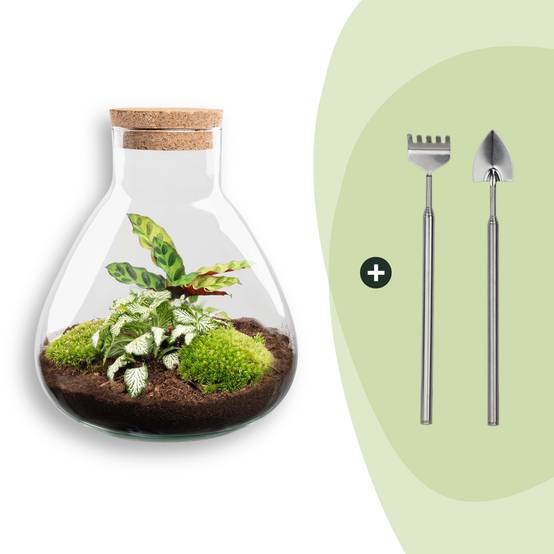 Terrarium à composer bouteille en verre recyclé - H26cm - avec râteau et pelle - Terrarium DIY - Image 1