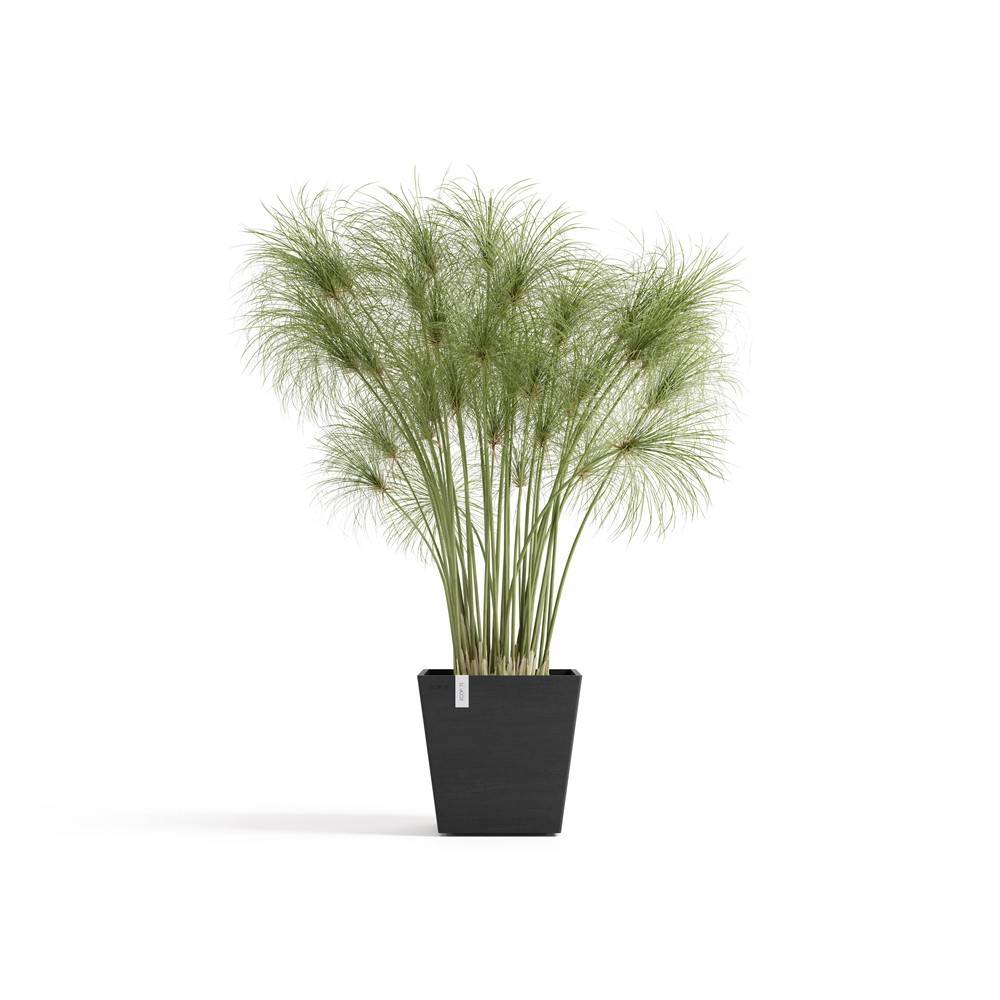 Ecopots - Pot Carré Rotterdam 25 Gris Foncé + réservoir d'eau - 25,2 x 25,2 x H. 24,5 cm - 10,7 L ECOPOTS - Imagen 1