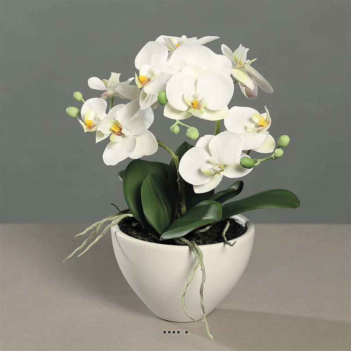 Artificielles - Orchidée phalaenopsis artificielle en coupe céramique H 35 cm Crème - dimhaut: H 35 cm - couleur: Crème - Imagen 4