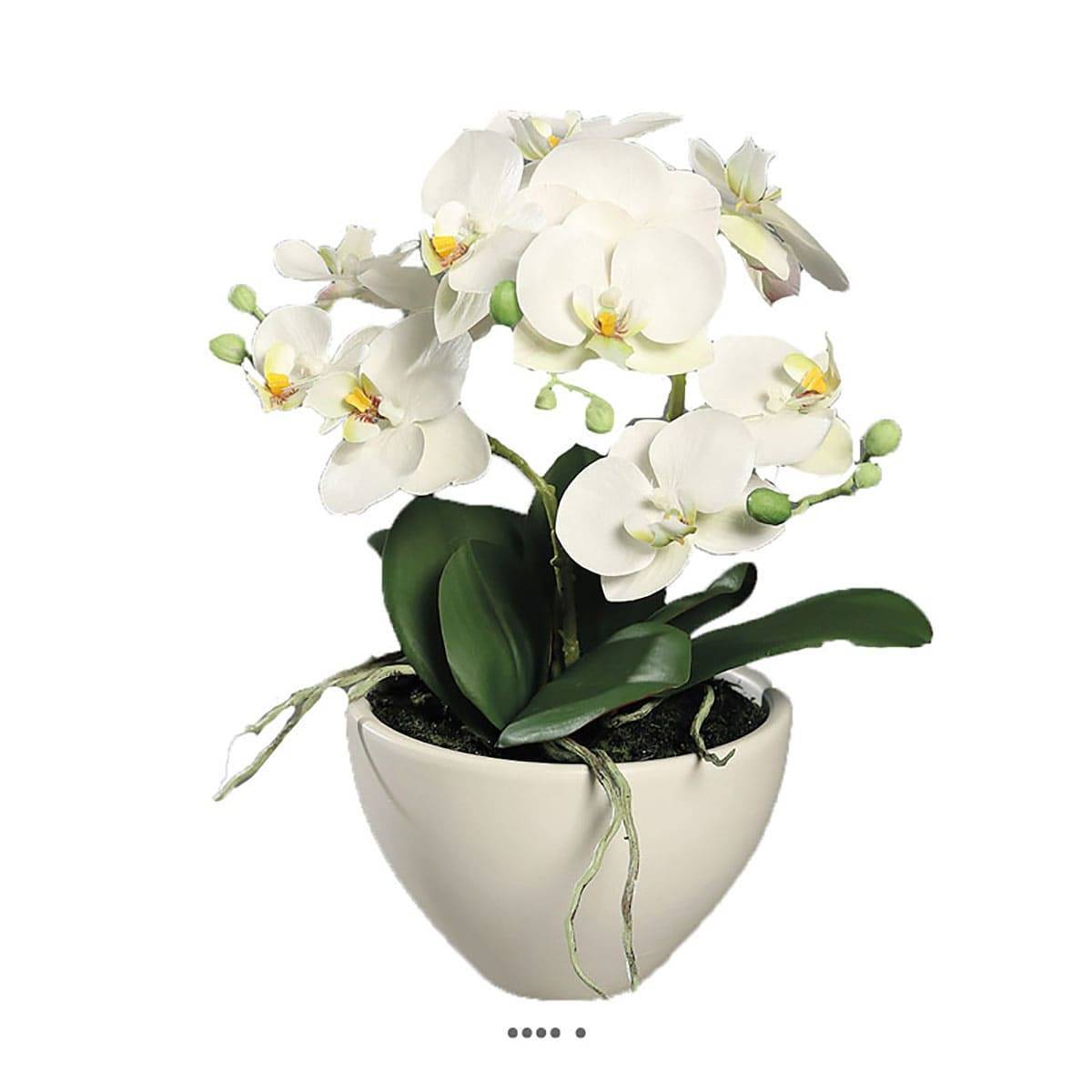 Artificielles - Orchidée phalaenopsis artificielle en coupe céramique H 35 cm Crème - dimhaut: H 35 cm - couleur: Crème - Imagen 1