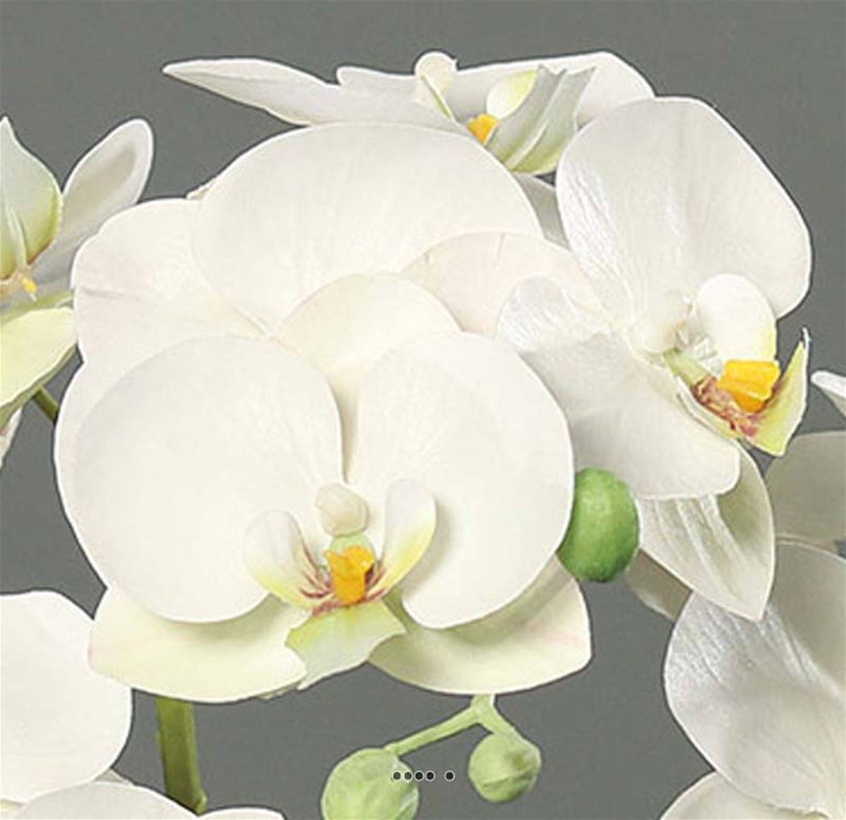 Artificielles - Orchidée phalaenopsis artificielle en coupe céramique H 35 cm Crème - dimhaut: H 35 cm - couleur: Crème - Imagen 3
