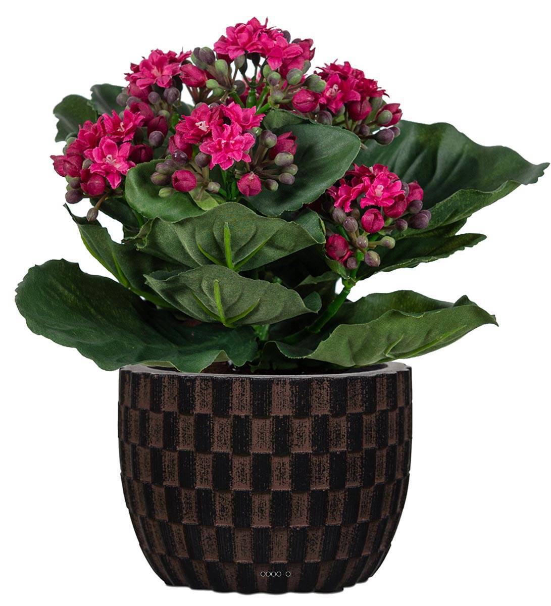 Artificielles - Kalanchoé artificiel en pot H20 cm adorable et très dense Rose fushia - couleur: Rose fushia 730 - Imagen 2