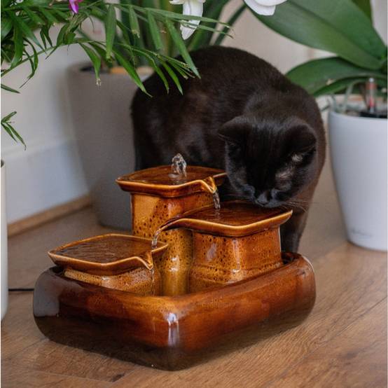 Fontaine à eau en céramique couleur noix pour chats - 3,4L - Miaustore - Image 2