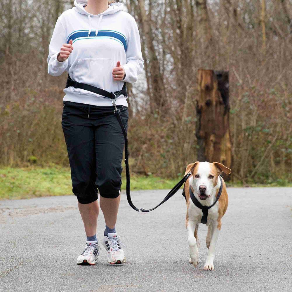 Ceinture ventrale avec laisse pour chiens Tour de ventre: 75-120 cm - Image 2