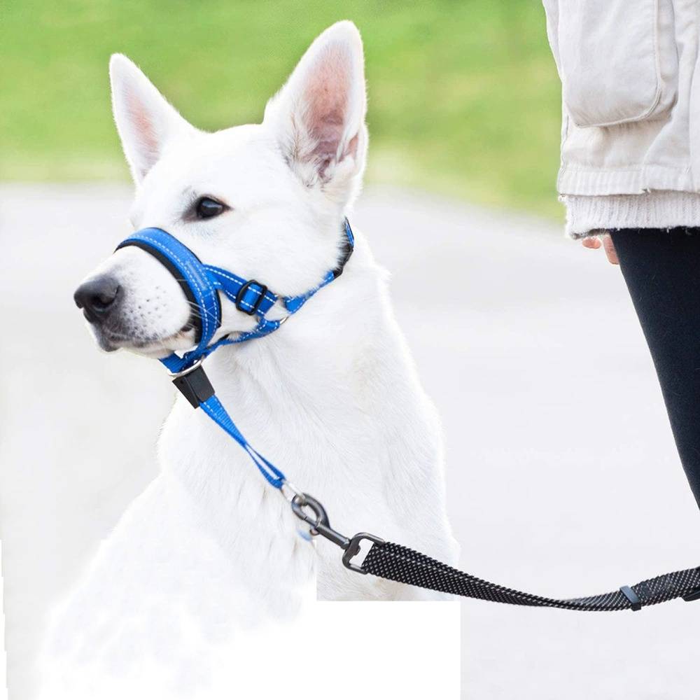 Licol anti-traction pour chien de taille moyenne DtopbuyAge - Image 2