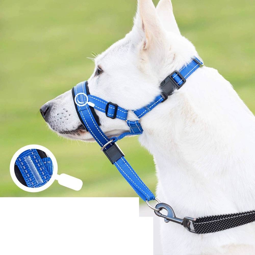 Licol anti-traction pour chien de taille moyenne DtopbuyAge - Image 3