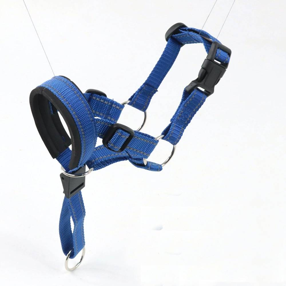 Licol anti-traction pour chien de taille moyenne DtopbuyAge - Image 4