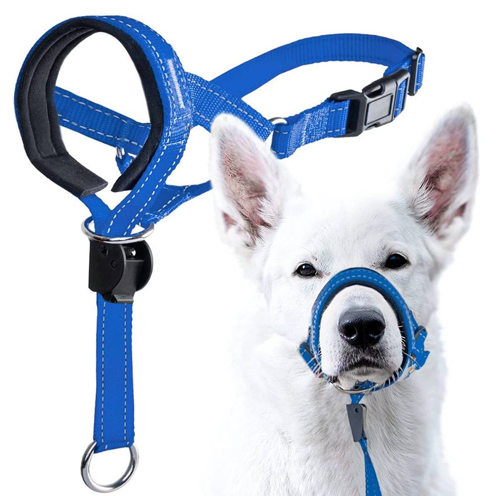 Licol anti-traction pour chien de taille moyenne DtopbuyAge - Image 1