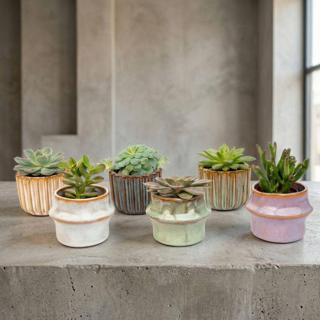 La Green Touch - Succulenten Set de 6 In Keramische Mini Potjes Barcelona - D6 H12cm - Image 3