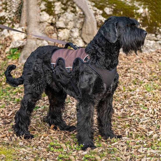 Ferplast - Ferplast Harnais Chien Réglable XL Poitrail 82-92 cm avec Poignée, Marron - Imagen 2