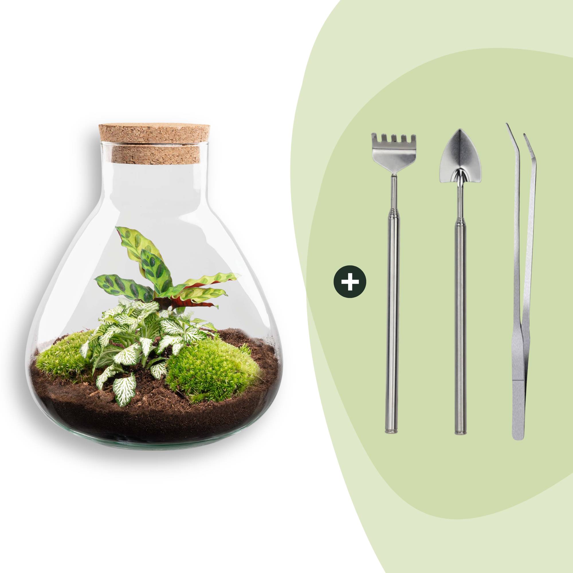 Terrarium à composer bouteille en verre recyclé - H26cm - avec râteau, pelle et pince - Terrarium DIY - Image 1