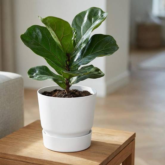 Pot de fleurs elho Greenville rond blanc - D.20cm - Image 6