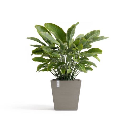 Ecopots - Pot Carré Rotterdam 45 Taupe + réservoir d'eau - 45,4 x 45,4 x H. 44 cm - 63,5 L ECOPOTS - Imagen 1
