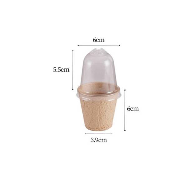 Lot de 30 pots de tourbe biodégradables - Avec dôme d'humidité - Living123 - Image 7